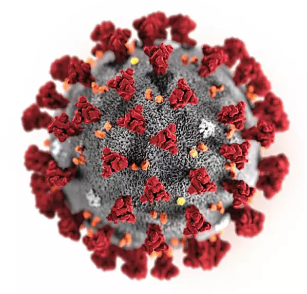 CoronaVirus-Image